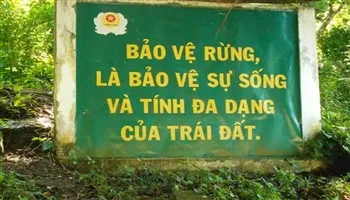 Tạo điều kiện cho mọi thành phần kinh tế đầu tư, bảo vệ rừng