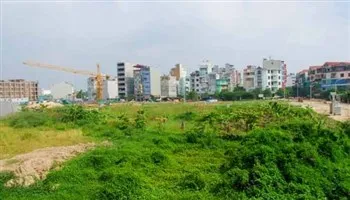 Phó Thủ tướng Trương Hòa Bình yêu cầu xử lý dứt điểm vi phạm đất đai tại Đông Anh (Hà Nội)