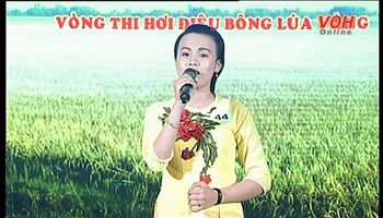 Giải Bông Lúa Vàng (Vòng thi Hơi điệu - Buổi  2) - 19/08/2017