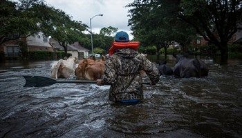 Đã tìm thấy 30 người thiệt mạng do mưa lũ tại Texas