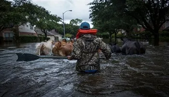 Đã tìm thấy 30 người thiệt mạng do mưa lũ tại Texas