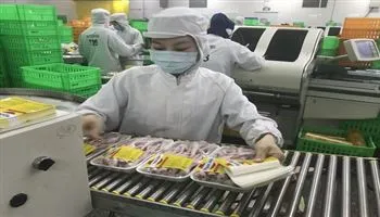 Truy xuất nguồn gốc thịt gà bắt đầu từ ngày 3/10