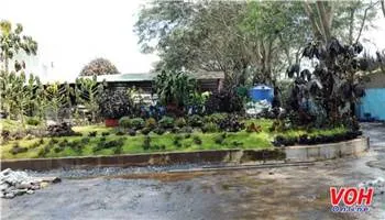 Sơ tán khu dân cư vì rò rỉ khí Amoniac