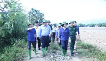 Phó Thủ tướng Trương Hòa Binh chỉ đạo ứng phó, khắc phục hậu quả mưa lũ ở Yên Bái