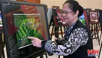 Trao 16 giải cuộc thi ảnh nghệ thuật Phụ nữ với cuộc sống