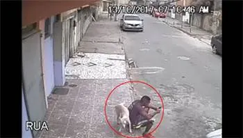 Chú chó “chơi khăm” và cái kết có hậu