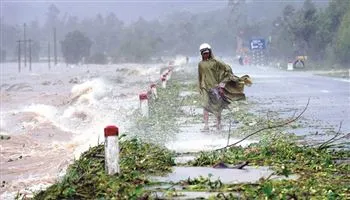 Chuyên gia lý giải nguyên nhân thiên tai gây thiệt hại nặng nề