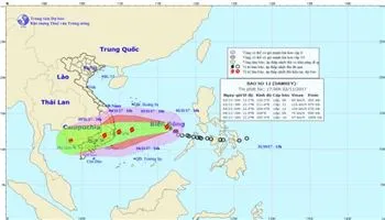 Yêu cầu các sở ban ngành TPHCM chủ động ứng phó bão số 12