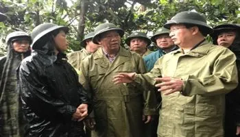 Phó Thủ tướng Trịnh Đình Dũng kiểm tra, đôn đốc công tác ứng phó mưa lũ