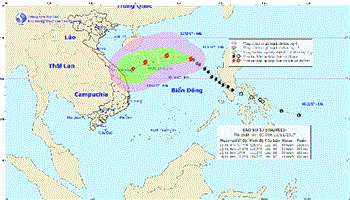 Dự báo thời tiết ngày 11/11: Bão Haikui mạnh thêm và hướng về Hoàng Sa
