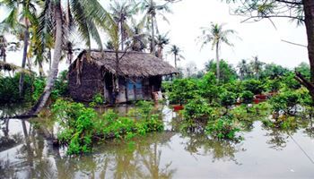 Sông Sài Gòn: nước dâng cao nguy cơ gây ngập vùng trũng thấp