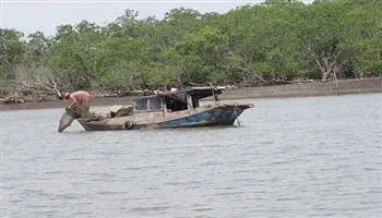 Bão 14 chưa vào đất liền, TPHCM đã có mưa dông trên diện rộng