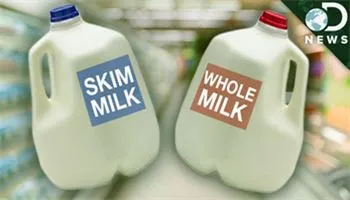 Sữa nguyên kem và những lợi ích cho sức khỏe hơn sữa tách béo