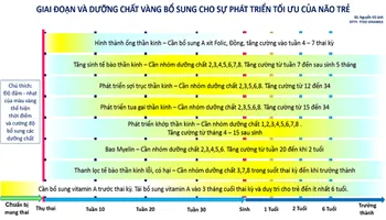 Dinh dưỡng vàng cho trẻ nhỏ phát triển não bộ