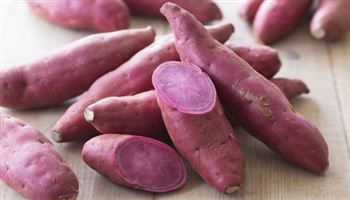 Khoai lang “thần dược” của người Nhật ngừa nhiều loại ung thư