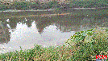 Tên trộm nhảy xuống sông tẩu thoát thì bị đuối nước tử vong