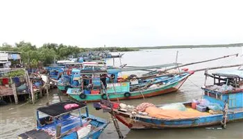 TPHCM cấm biển từ 4 giờ chiều nay 23/12/2017