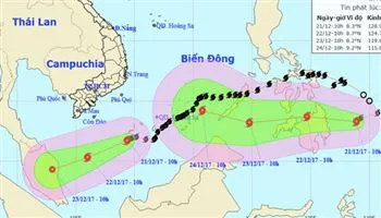 [Khẩn cấp] Học sinh, sinh viên TP nghỉ tránh bão số 16 từ trưa 25/12 đến hết ngày 26/12/2017