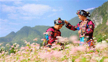 Hà Giang cần phát triển mạnh du lịch