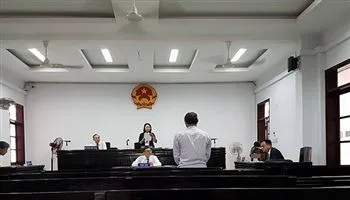 Tòa yêu cầu điều tra bổ sung vụ tàng trữ, mua bán rùa biển lớn nhất thế giới