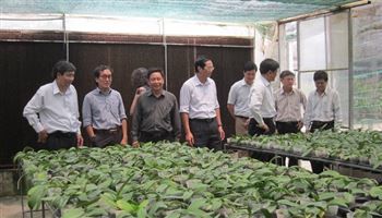 Thu nhập bình quân đầu người tại xã nông thôn mới tại TPHCM: 49,18 triệu đồng/người/năm