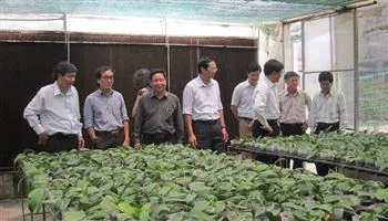 Thu nhập bình quân đầu người tại xã nông thôn mới tại TPHCM: 49,18 triệu đồng/người/năm