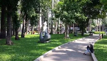 Thời tiết TPHCM 3/3: Tiếp tục ngày nắng nhẹ, đêm trời quang mây