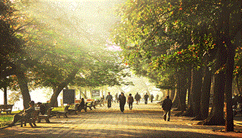 Dự báo thời tiết hôm nay 3/3: Miền Bắc ngày nắng, có nơi nắng nóng trên 35 độ C