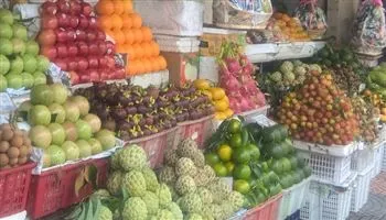 Giá cả thị trường hôm nay 3/3/2018: Giá vú sữa giảm mạnh