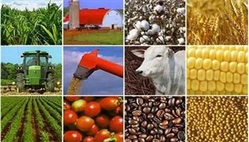 Sẽ sơ kết 5 năm tái cơ cấu nông nghiệp