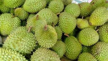 Giá cả thị trường hôm nay 30/3/2018: Sầu riêng trái mùa giá cao, 130 - 150 ngàn đồng/kg