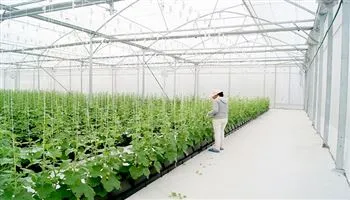 Thành phố sẽ phát triển đồng đều giữa trồng trọt - chăn nuôi và thủy sản