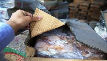Hơn 400 tấn thực phẩm đông lạnh nhập vào Trung Quốc bị bắt giữ