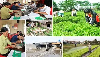 Bãi bỏ Quyết định sửa đổi một số mức hỗ trợ phát triển sản xuất