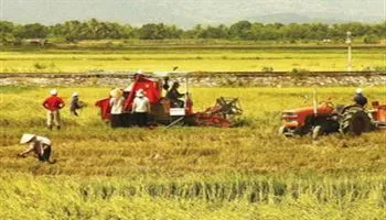 Nhiều chính sách khuyến khích DN đầu tư vào nông nghiệp, nông thôn