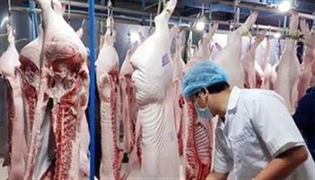 Quy trình giết mổ gia súc, gia cầm hiện đại - bất cập giữa quy hoạch và thực thi (P.3)