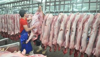 Quy trình giết mổ gia súc, gia cầm hiện đại - bất cập giữa quy hoạch và thực thi (P.1)