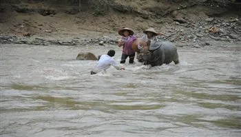 Dự báo thời tiết ngày mai 3/5: Mưa lớn có thể gây lũ quét ở miền núi phía Bắc