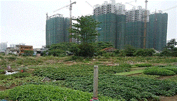TPHCM đã thu hồi 191 dự án chậm triển khai từ năm 2004 đến nay