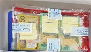 Mang ngoại tệ xuất cảnh vượt hạng mức không khai báo