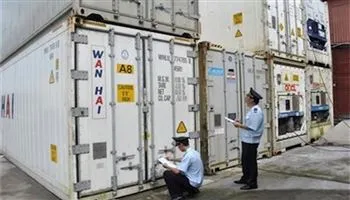 Giám sát hàng tạm nhập, tái xuất cho đến khi ra khỏi Việt Nam