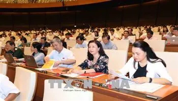 Quốc hội thảo luận về Luật Tố cáo