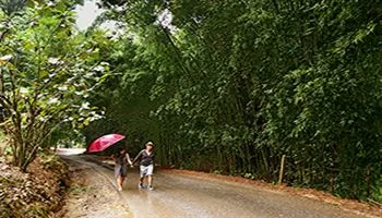 Hướng dẫn xem ảnh: Phần 2 - Thế nào là một tấm ảnh đáng xem ?