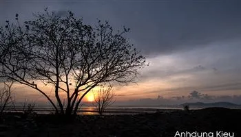 Cần Giờ tỏa sáng trước ngày kỷ niệm
