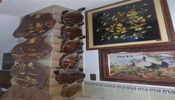 Tịch thu 72 tiêu bản rùa biển quý hiếm ở Vũng Tàu