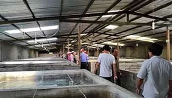 Nông dân TP.HCM học tập mô hình sản xuất tại tỉnh Khánh Hòa