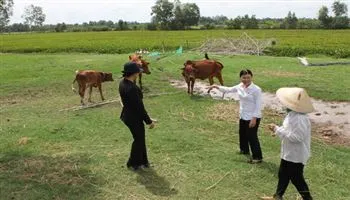 Quỹ David Dương -  cứu cánh cho người nghèo