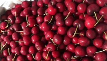 Giá cả thị trường hôm nay 19/6/2018: Cherry giá từ 500 ngàn đồng một kg