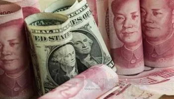 Tỷ giá ngoại tệ hôm nay 26/6/2018: USD gián đoạn đà tăng?