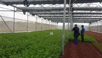 Chính phủ Australia khởi động chương trình viện trợ trực tiếp 2018-2019